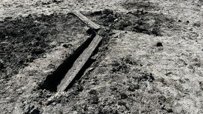 Eğirdir Gölü kıyısında vatandaşlar buldu