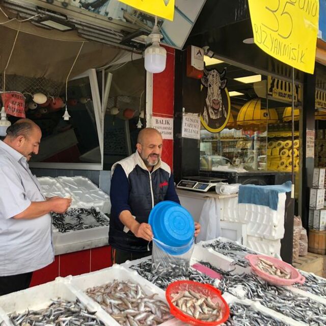 "Bugün tavuk, et yemek yok. Hamsi var. Millet yesun"