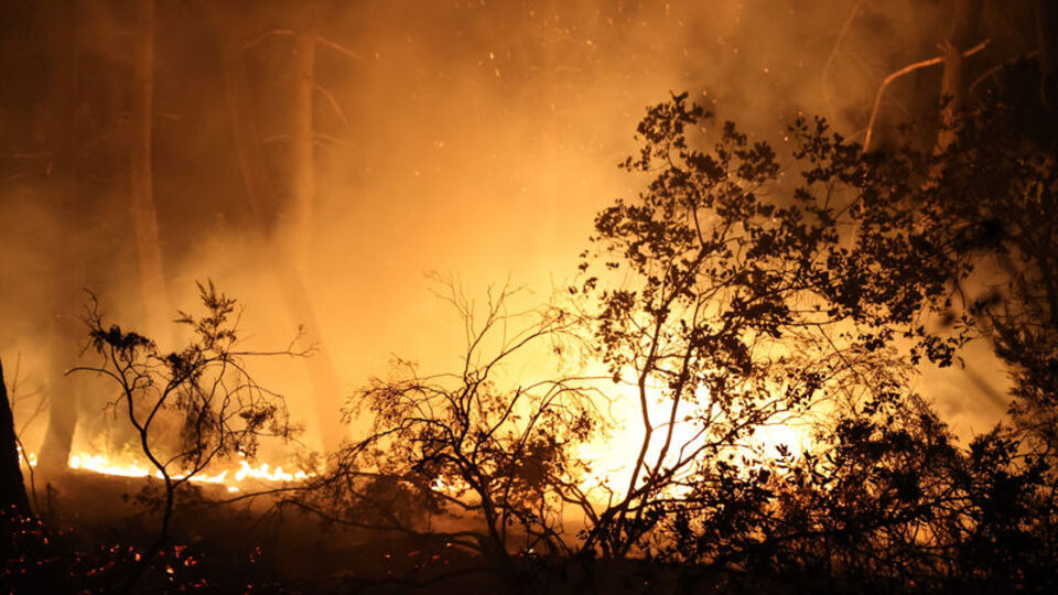 Çekmeköy'de ormanlık alanda yangın çıktı