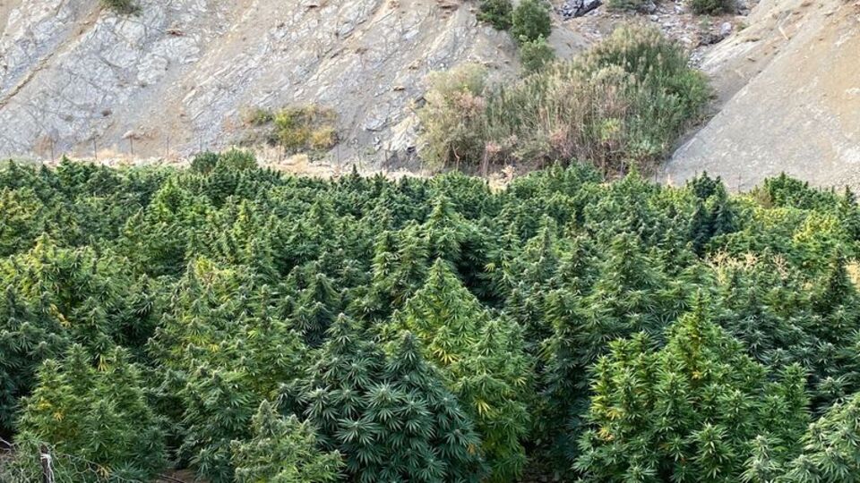 Diyarbakır'da narkoterör operasyonu