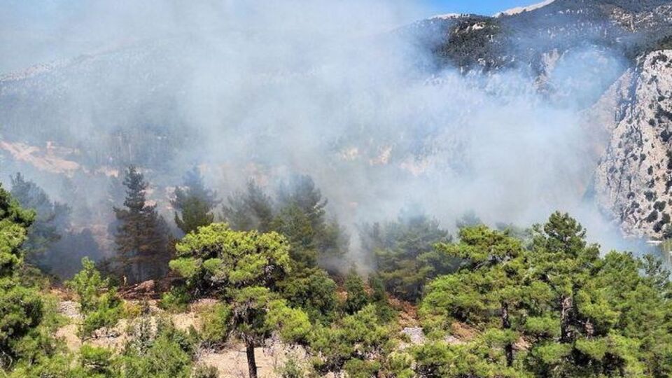 İki ilde orman yangını çıktı!