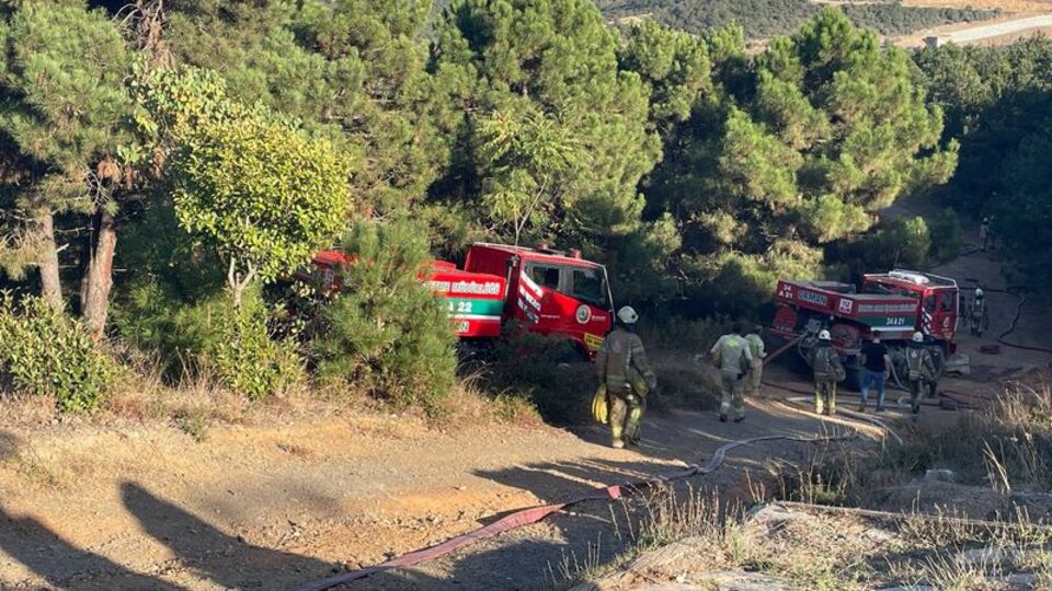 Sultangazi'de ormanlık alanda yangın çıktı