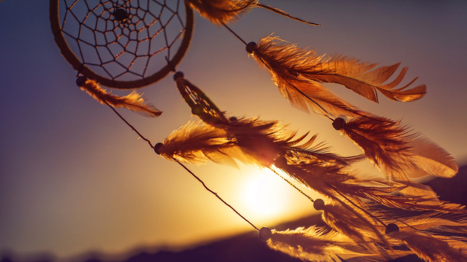 Rüyada Zeytin Çekirdeği Görmek