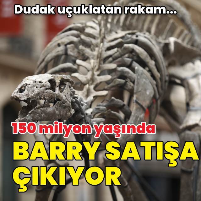 Barry satışa çıkıyor... Dudak uçuklatan rakam!