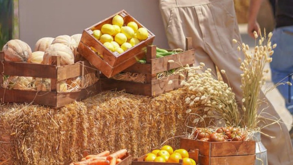 Doğal Yaşam Festivali bu yıl sağlıklı yaşama gönül verenleri bir araya getiriyor