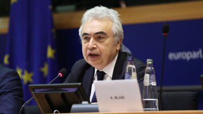 "Küresel ısınma hedefi için yatırım artmalı"