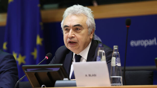 "Küresel ısınma hedefi için yatırım artmalı"