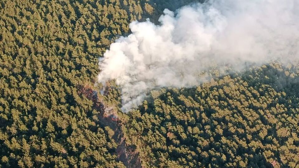 Hatay'da orman yangını çıktı