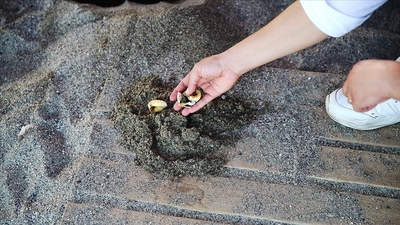 Birileri onları gözetliyor