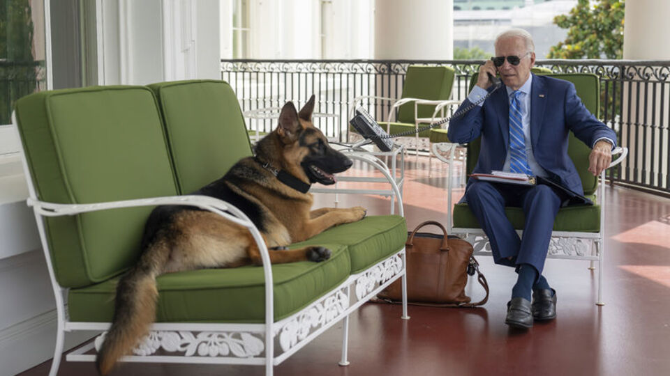 Biden'ın köpeği 11. kez ısırdı