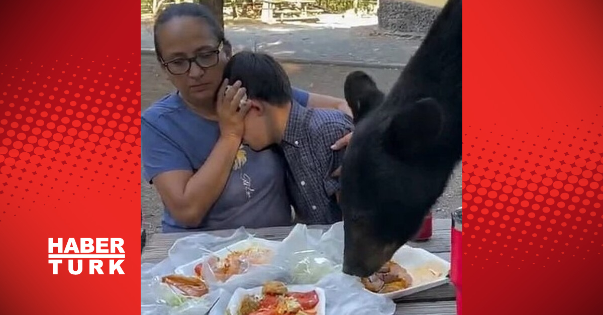 Ayı, piknik meydana getiren ailenin masasına çıktı