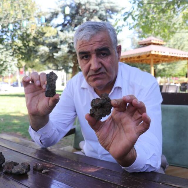 Mantar toplarken buldu... Gözü gibi bakıyor