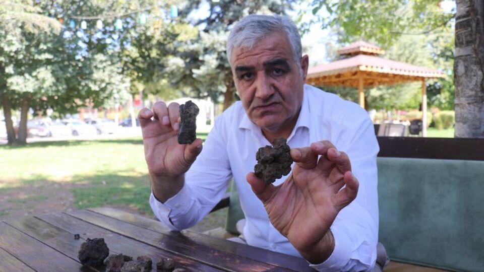 Mantar toplarken buldu... Gözü gibi bakıyor
