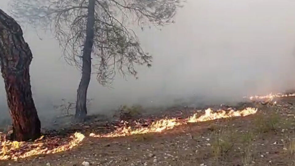Tokat'taki orman yangını kontrol altında