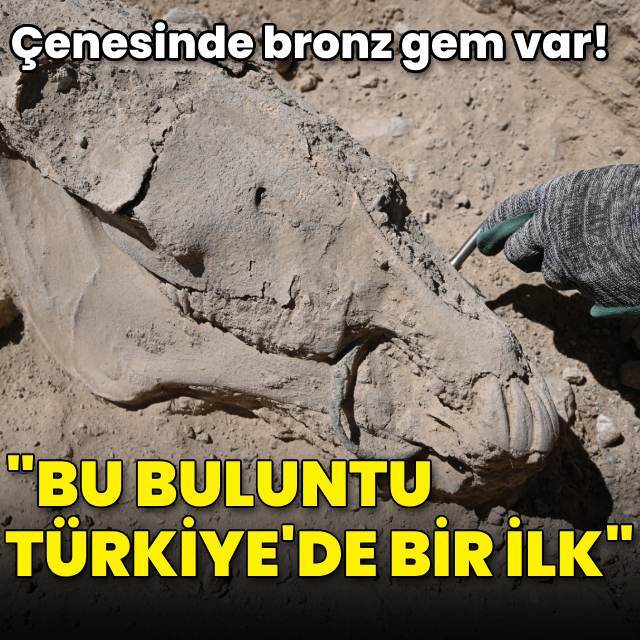 "Bu buluntu Türkiye'de bir ilk"