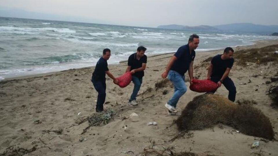 Yasak alanda toplandı! 5.5 ton kum şırlanı ele geçirildi!