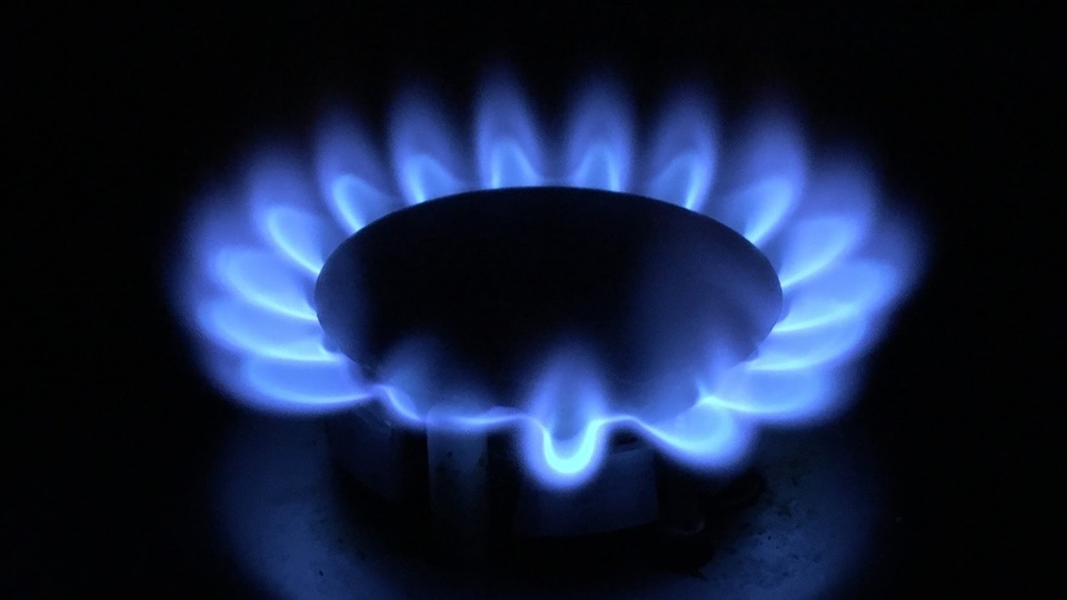 3 dağıtım şirketine kayyum atandı