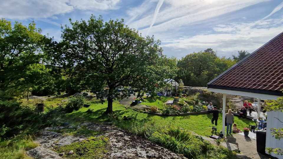 Metal dedektörüyle küpe ararken bakın ne buldular!