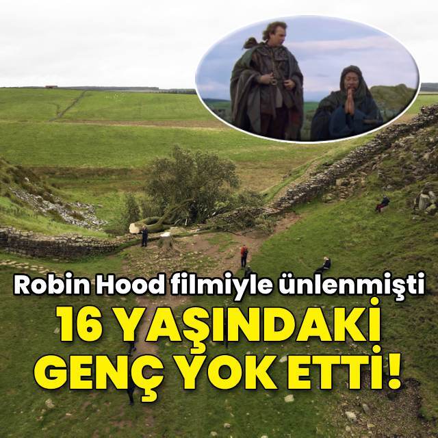 Robin Hood filmiyle ünlenen 200 yıllık ağaç kesildi!