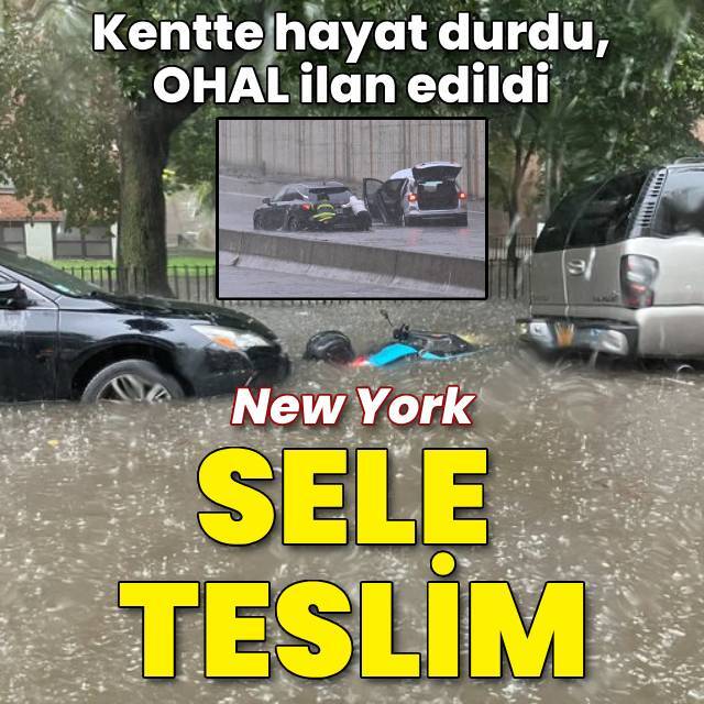 New York sele teslim