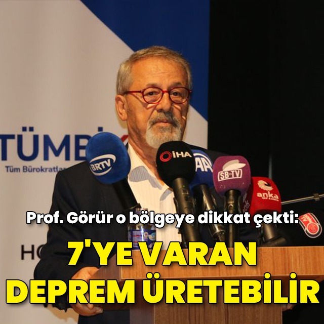 Prof. Görür o bölgeye dikkat çekti