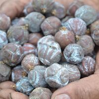 Soğuk algınlığından öksürüğe, demir eksikliğinden kalp sağlığına...