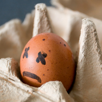 Yiyeceklerin bozulduğu nasıl anlaşılır?