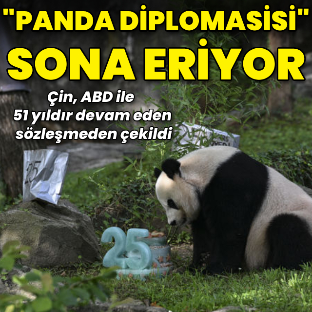 51 yıllık "panda diplomasisi" sona eriyor