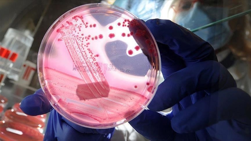 Yumurtalık kanseri uygulaması "Olivia" artık Türkçe