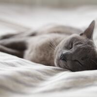 Rüyada Yağmurlu Hava Görmek