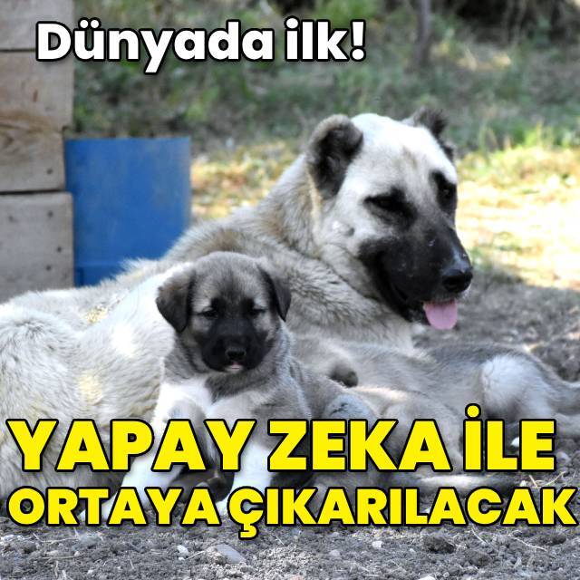 'Yapay zeka' ile ortaya çıkarılacak!