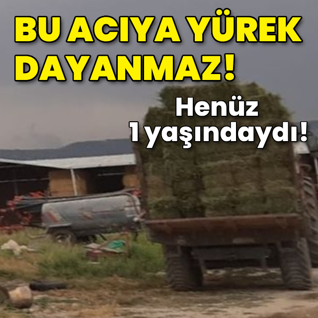 Bu acıya yürek dayanmaz! Bebeği traktörün altına kaldı