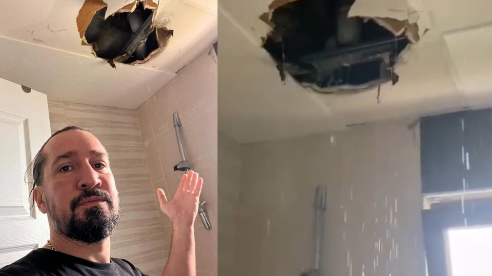 Kuşlar evini başına yıktı