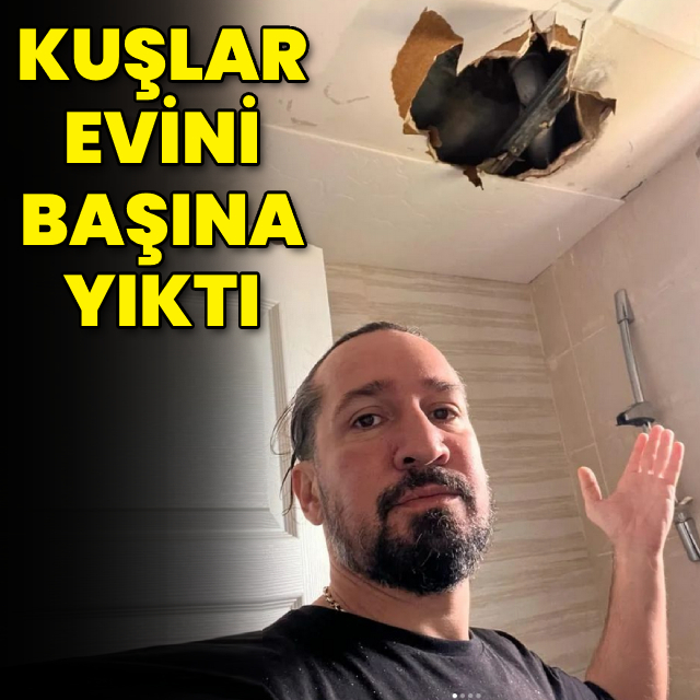 Kuşlar evini başına yıktı