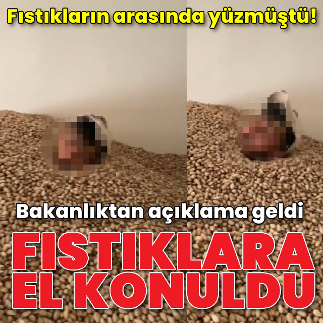 O görüntülere soruşturma! Fıstıklara el konuldu