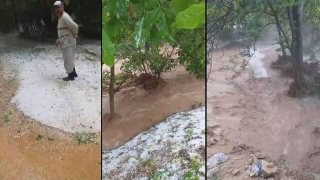 Üzüm bağlarına dolu ve sel zararı