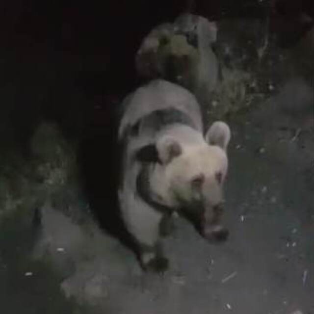 Bakanlık paylaştı... Ekiplere eşlik etti!