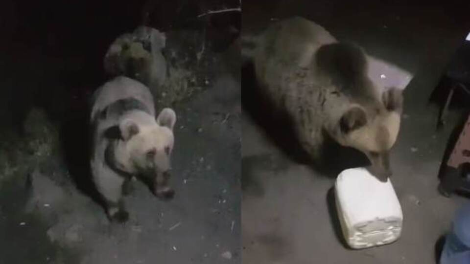 Bakanlık paylaştı... Ekiplere eşlik etti!