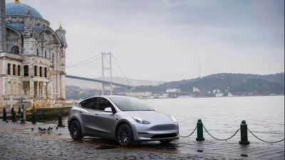 Pazarın yarısı Tesla oldu