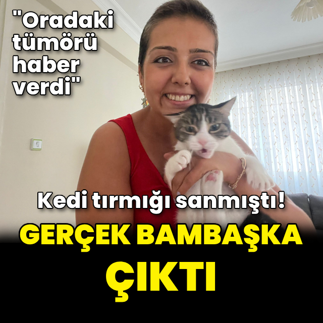 Kedi tırmığı sanmıştı! Gerçek bambaşka çıktı