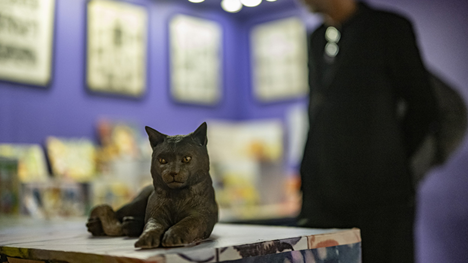 Kedi Müzesi açıldı