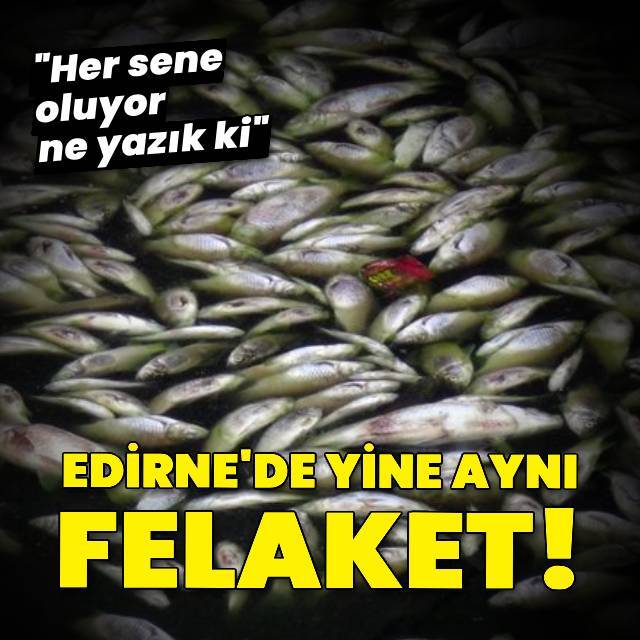 Edirne'de yine aynı felaket!
