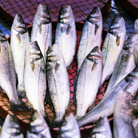Mevsime göre beslenme: Ekim ayında tüketin!