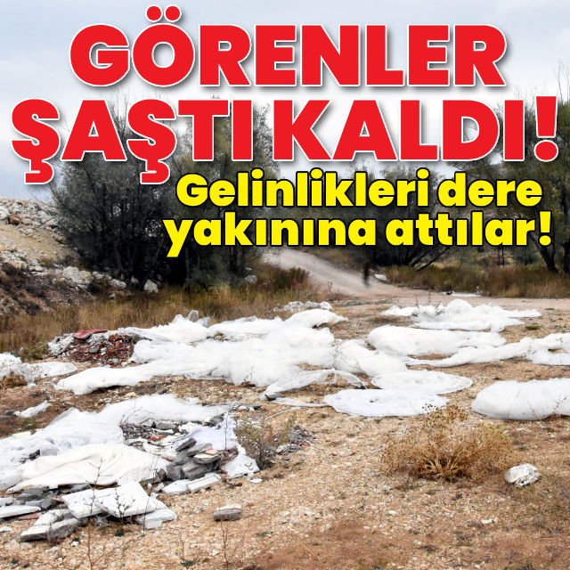 Görenler şaştı kaldı! Gelinlikleri dere yakınına attılar