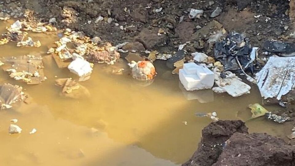 Kahreden fotoğraf! 1 top 3 kardeş!