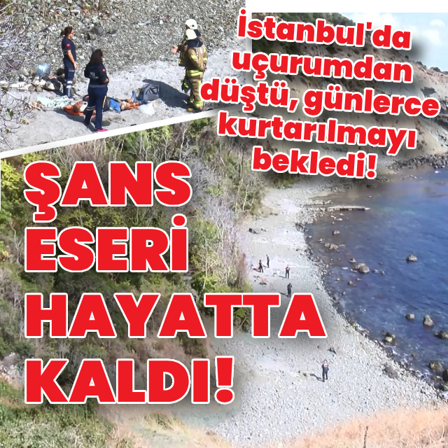İstanbul'da uçurumdan düştü, günlerce kurtarılmayı bekledi!