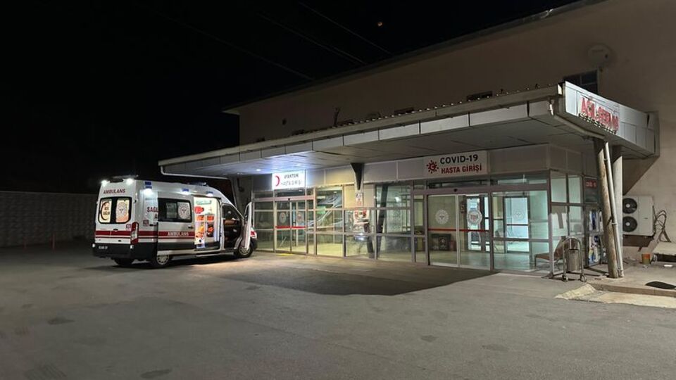 Ceviz toplamak için çıktığı ağacından düşüp öldü