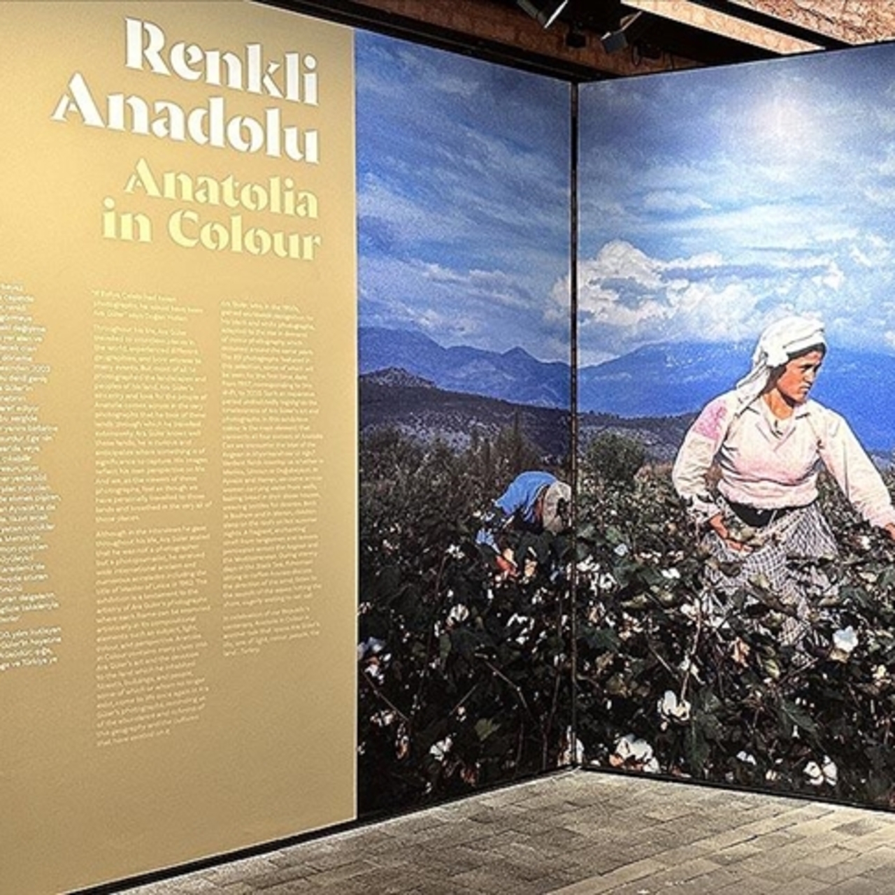 Renkli Anadolu 'Ara'landı