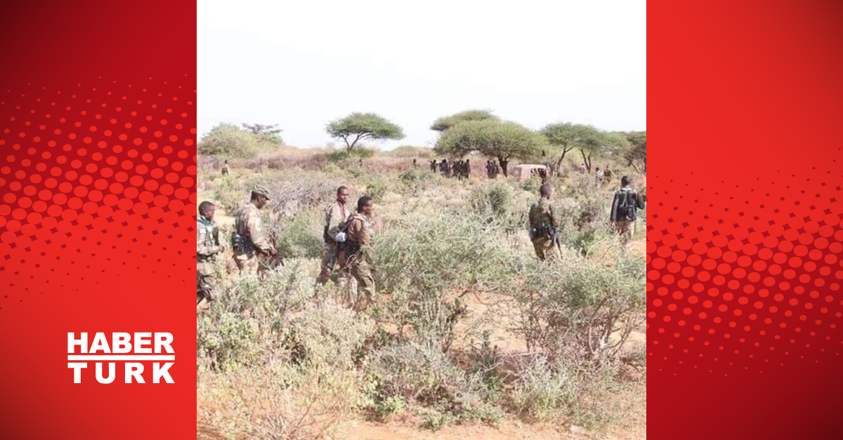 Somali’de 100’den fazla Eş-Şebab üyesi öldürüldü