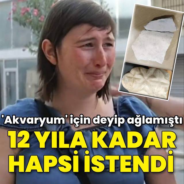 'Akvaryum' için deyip ağlamıştı... 12 yıla kadar hapsi istendi